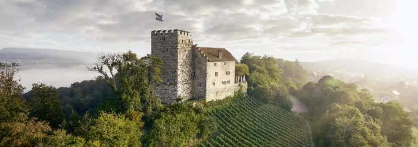 Habsburg
