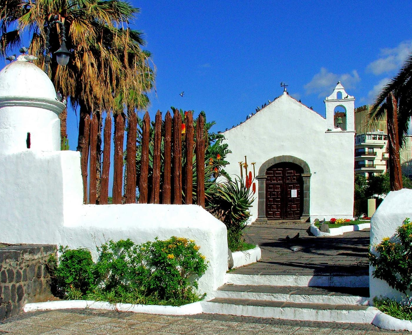 Puerto de la Cruz